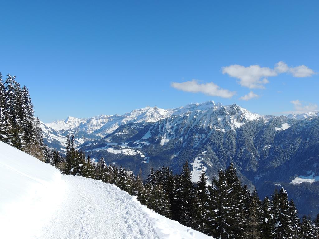 Alpine Classic Hotel Leysin Eksteriør billede